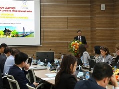 Đánh giá toàn diện cơ sở hạ tầng, chuẩn bị cho Dự án điện hạt nhân Ninh Thuận